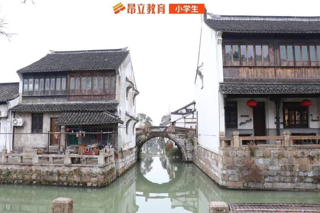 森系丛林
